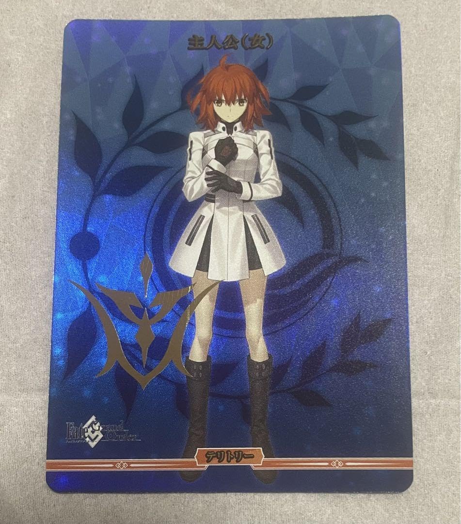 Amazon.co.jp: ビルディバイドブライト FGO マスターテリトリー 主人公
